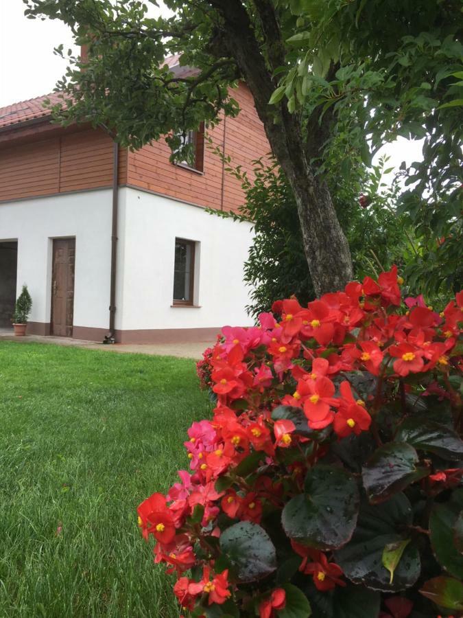 Pokoje Kasztanowa Wilkasy Exteriör bild